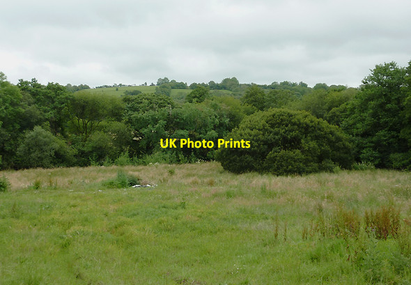 Photo 6"x4" Rough farmland west of Stags Head, Ceredigion Llanio c2011