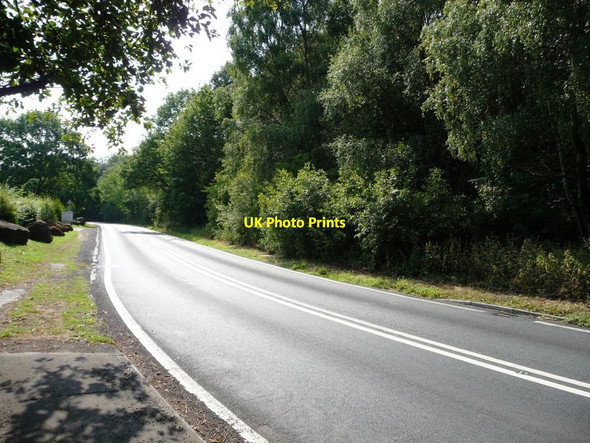 Photo 6"x4" Haw Park Lane Notton\/SE3413 c2011