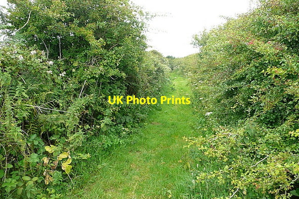 Photo 6"x4" Bridleway to Higher Trenowin Castle Gate c2011
