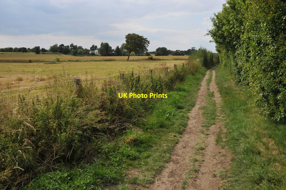 Photo 6"x4" Thames Path near Benson Wallingford c2011