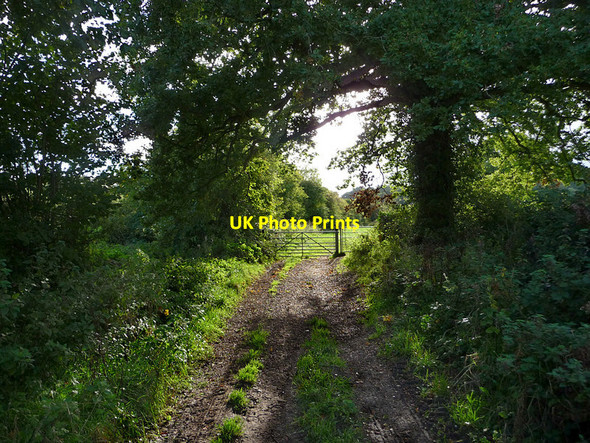 Photo 6"x4" Hangers Way Footpath Oakhanger\/SU7635 c2010