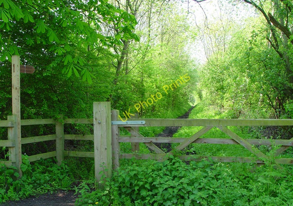 Photo 6"x4" The Bubwith Rail Trail Foggathorpe c2008