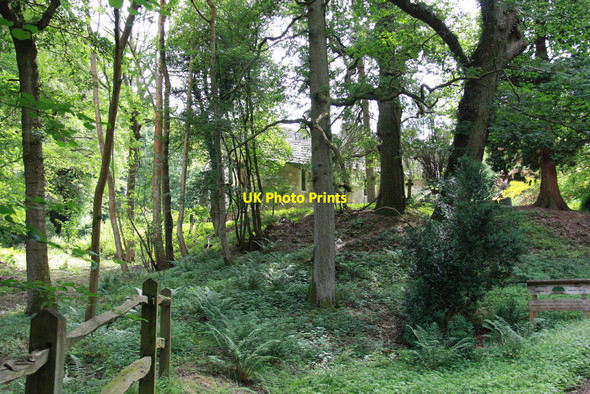 Photo 6"x4" St John the Baptist, Okewood Mayes Green c2011