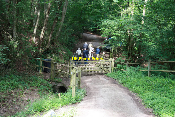 Photo 6"x4" Path from St John the Baptist's Church Okewood Mayes Green c2011