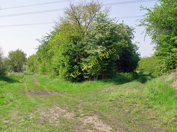 Photo 6"x4" A parting of the ways, East Yorks. Harlthorpe c2008
