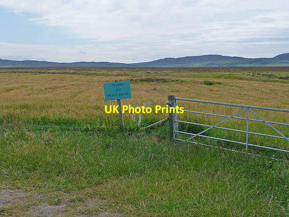 Photo 6"x4" Growing for Bruichladdich Kilchoman c2011