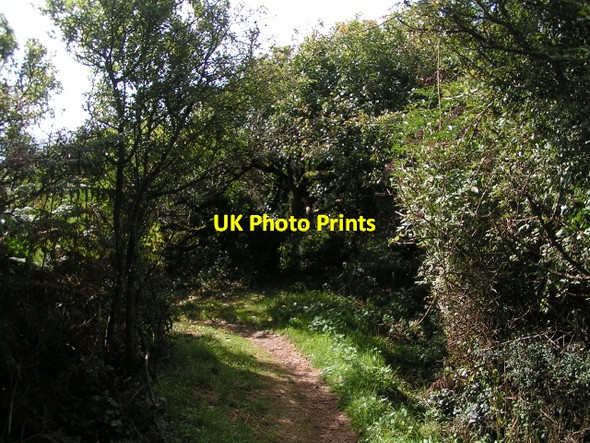 Photo 6"x4" The South West Coast Path on a sunny day Carne\/SW9138 c2010