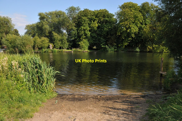 Photo 6"x4" The Thames at the bottom of Ferry Lane North Stoke\/SU6186 c2011