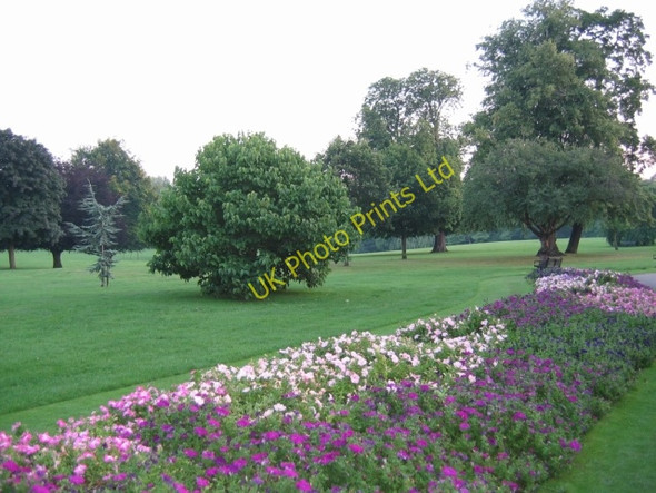 Photo 6"x4" Flower Beds and trees Sutton\/TQ2564 c2005