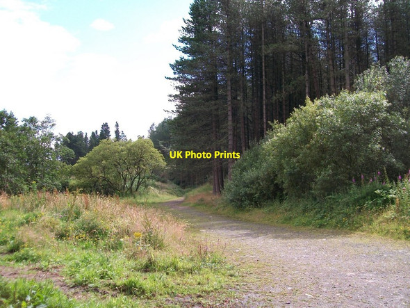 Photo 6"x4" The former trackbed of the Silent Valley Railway Attical c2011