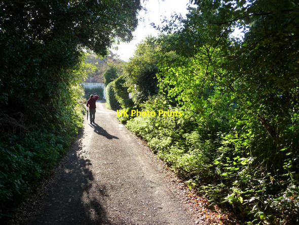 Photo 6"x4" Selborne Hampshire Selborne c2010