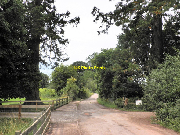 Photo 6"x4" Road to Sandhill Park Ash Priors c2011