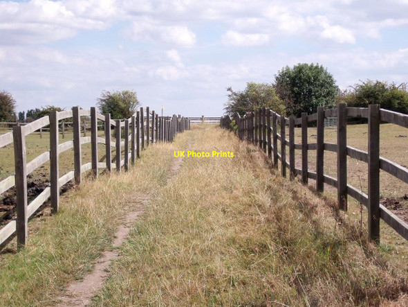 Photo 6"x4" Bridleway over a ridge and furrow field Chellaston c2011