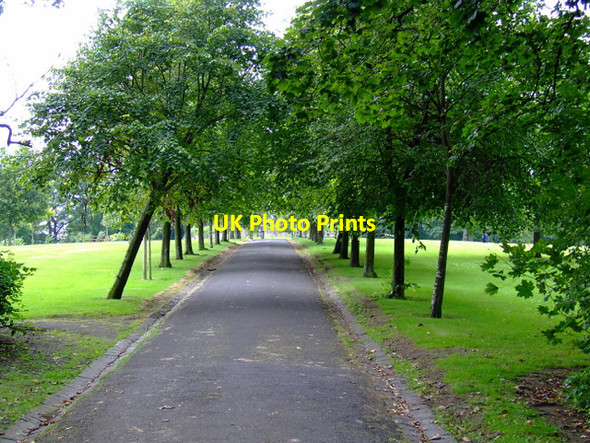 Photo 6"x4" Path in Queens Park Rutherglen c2011
