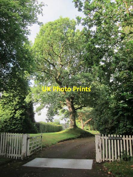 Photo 6"x4" Bentley Wood entrance Halland c2011