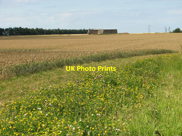 Photo 6"x4" Ripening wheat and straw bales beside the B1105 road, Egmere Egmere c2011