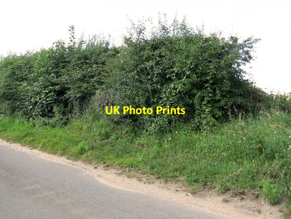 Photo 6"x4" Pillbox in hedge west of Egmere Cottages, Egmere Egmere c2011