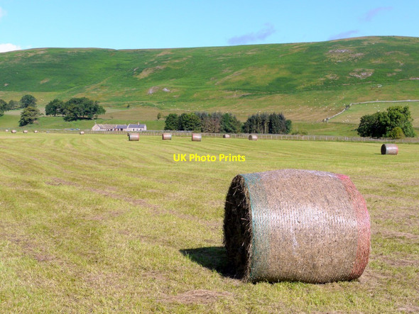 Photo 6"x4" View across the River Coquet to Barrow Mill Alwinton c2011