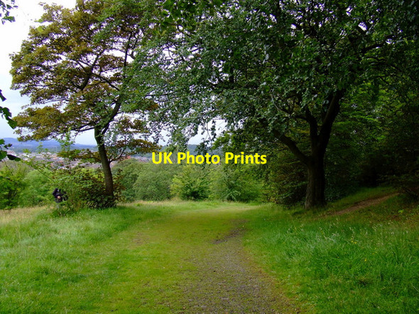 Photo 6"x4" Path in Queens Park Rutherglen c2011