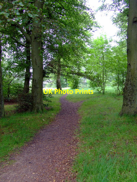Photo 6"x4" Path in Queens Park Rutherglen c2011