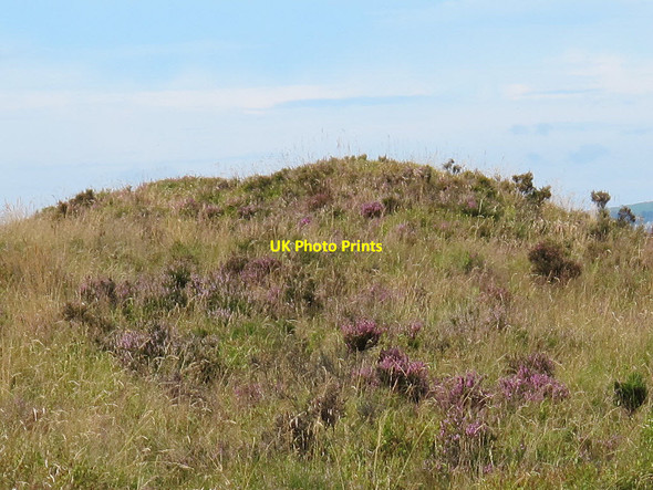 Photo 6"x4" Unmarked barrow near Hookney Tor Heathercombe c2011