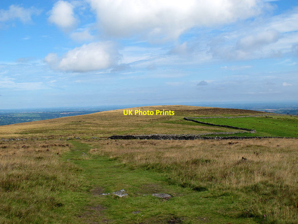 Photo 6"x4" Path from Hookney Tor to Shapley Tor Heathercombe c2011