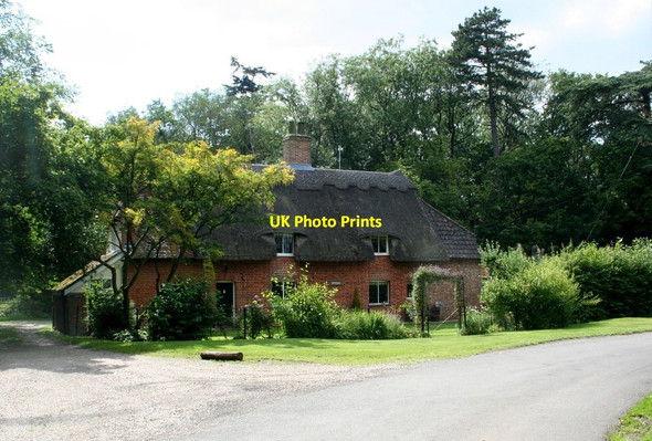 Photo 6"x4" Cottage in Rushley Green Wood Rushley Green c2011