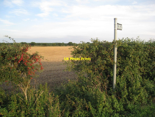 Photo 6"x4" The beginning of the path to Swinderby Eagle Barnsdale c2011