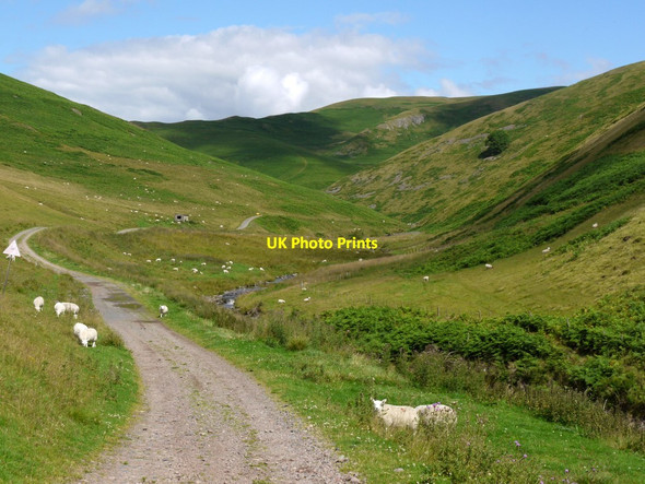 Photo 6"x4" Valley of the Usway Burn north of Shillmoor Shillmoor c2011