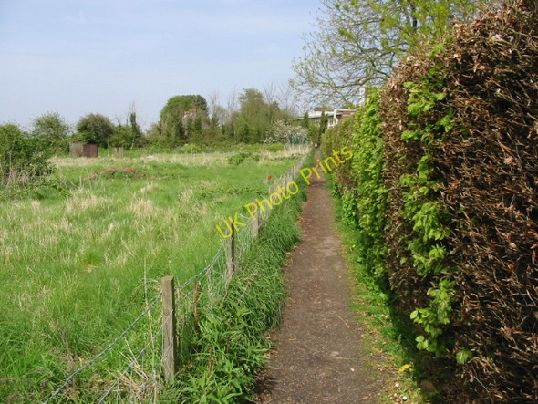 Photo 6"x4" Looking NE along footpath next to allotments Wye c2008