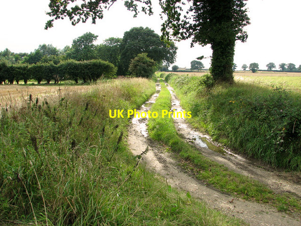 Photo 6"x4" Bridleway to Shangri La, Hall Common, Ludham Johnson Street c2011