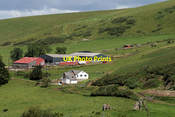 Photo 6"x4" Killernie Farm Saline c2011