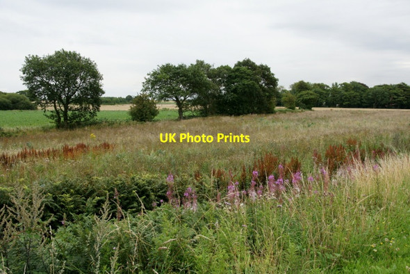 Photo 6"x4" Fields beside Leatherbarrows Lane, Maghull Maghull c2011