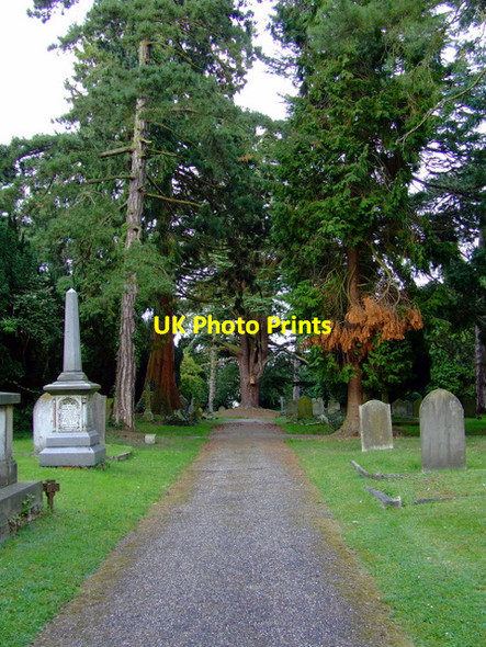 Photo 6"x4" Bishops Stortford New Cemetery Bishop's Stortford c2011