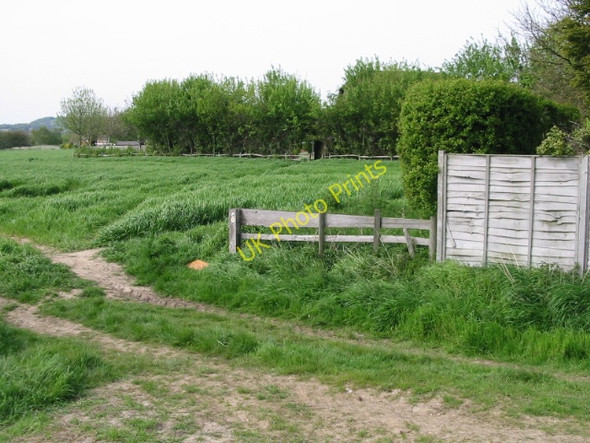 Photo 6"x4" Footpath into Wye Wye c2008