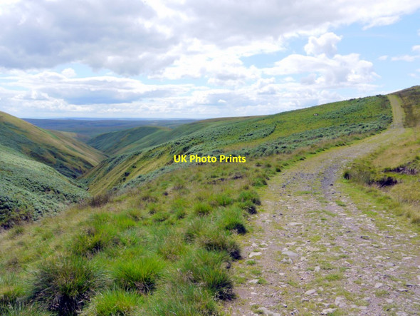 Photo 6"x4" Track west of the Wholehope Burn Shillmoor c2011