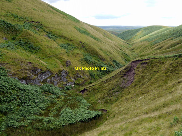 Photo 6"x4" Wholehope at site of former whisky still Shillmoor c2011