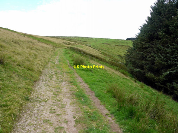 Photo 6"x4" Clennell Street south of Wholehope Clennell c2011