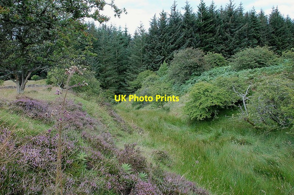 Photo 6"x4" Burn above the Rhymer's Glen Melrose\/NT5434 c2011