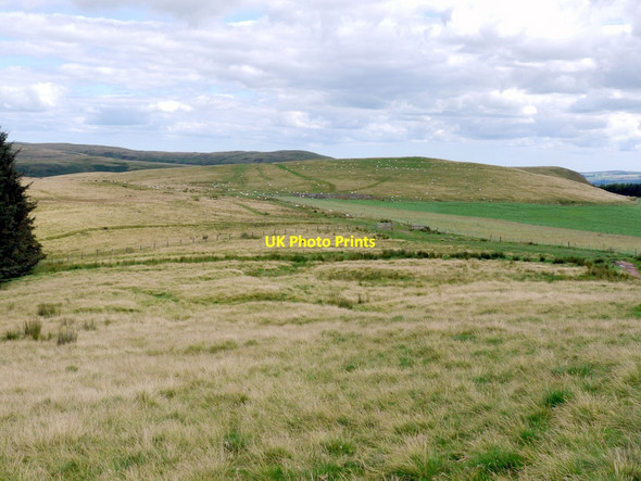 Photo 6"x4" Rough grassland by Clennell Street Clennell c2011