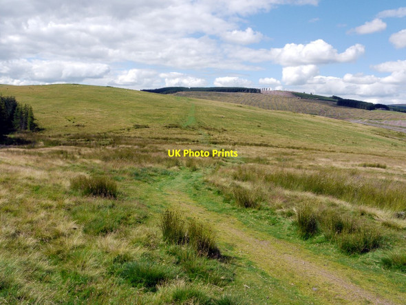 Photo 6"x4" Clennell Street Clennell c2011