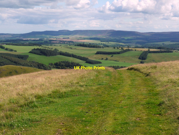 Photo 6"x4" Clennell Street looking south-east Clennell c2011
