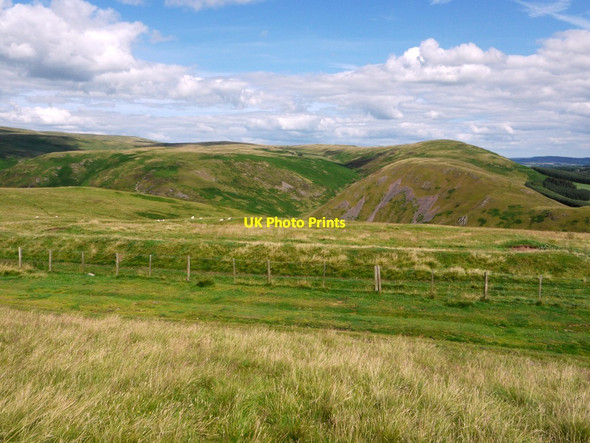 Photo 6"x4" Remains of settlement by Clennell Street Clennell c2011