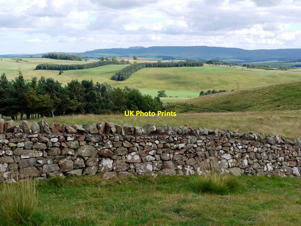 Photo 6"x4" Wall beside Clennell Street Clennell c2011