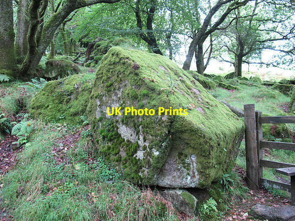 Photo 6"x4" Boulder in North Wood Shaugh Prior c2011