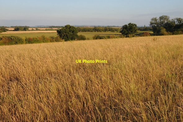 Photo 6"x4" View over Smithmoor Common Baughton c2011