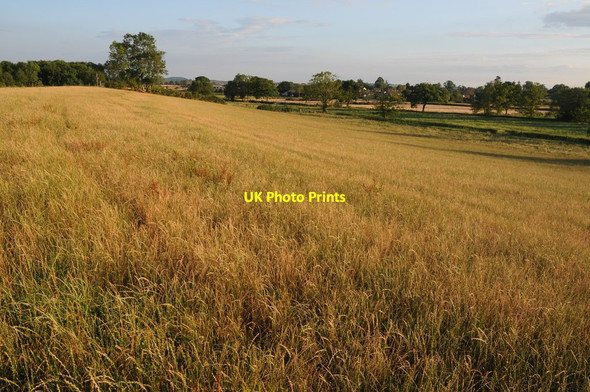 Photo 6"x4" Farmland at Ryall Baughton c2011