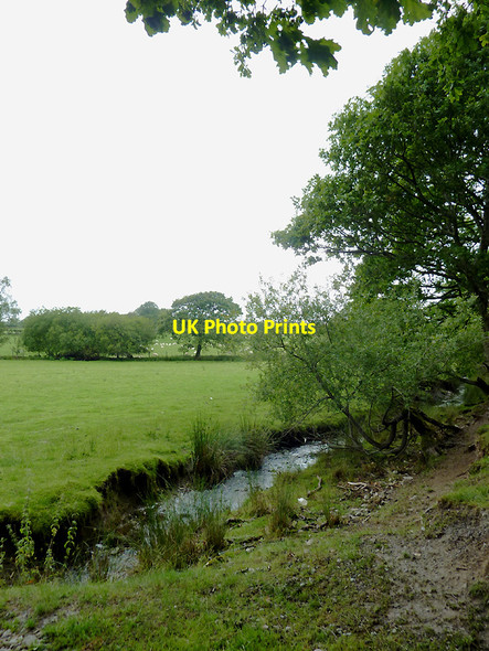 Photo 6"x4" Brook and pasture south of Stags Head, Ceredigion Llanio c2011