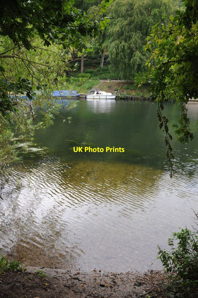 Photo 6"x4" Moored on the Thames Marlow\/SU8586 c2011