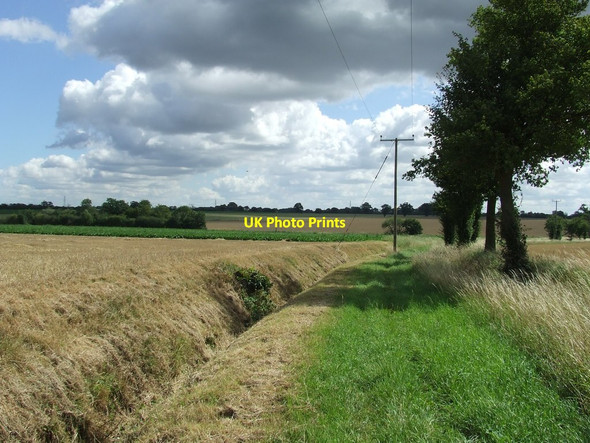 Photo 6"x4" Hartshall Lane Crownland c2011